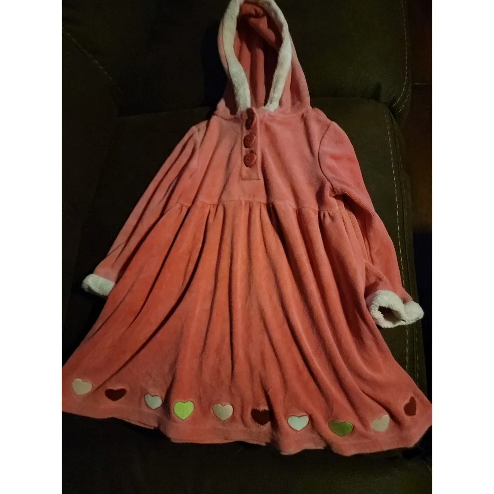 Gymboree gingerbread‎ girl pink hooded dress hearts size 3t